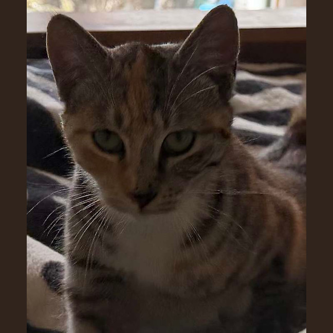 Photo of Spice