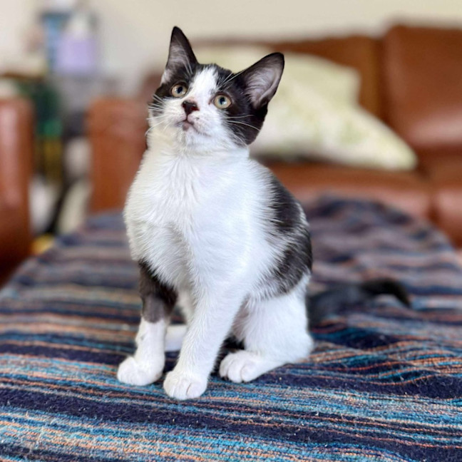 Photo of Marra   Meet Me At Vets On Parker