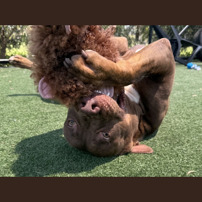 Photo of Phil Imp 23