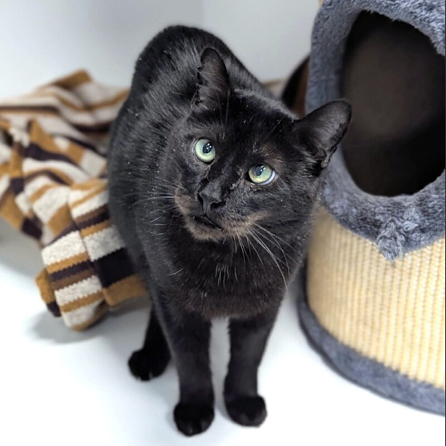 Photo of Milo