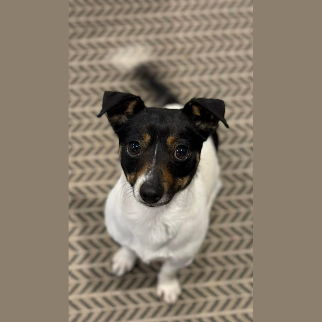 Photo of Little Bean 