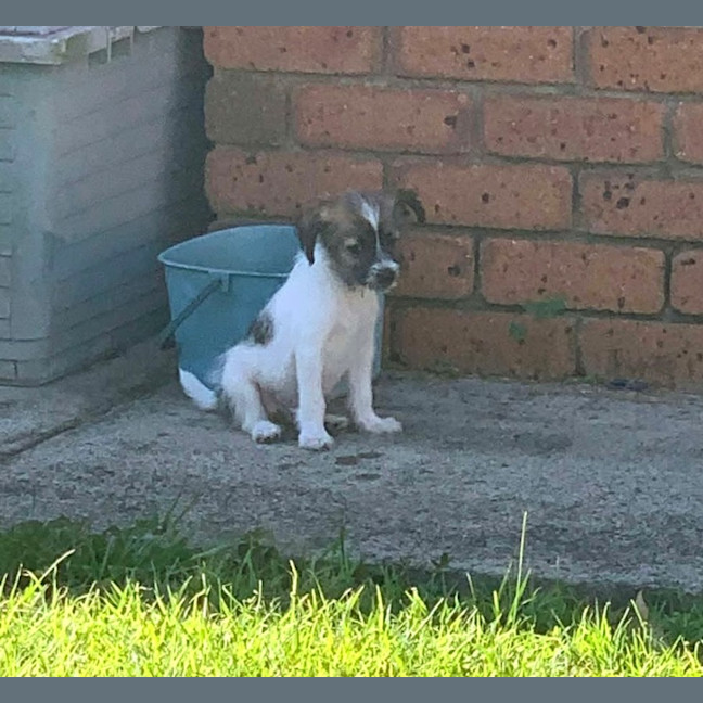 Photo of Messiah Muddle