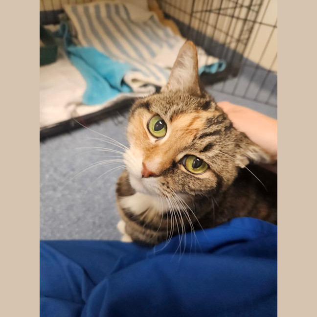 Photo of Dorothy