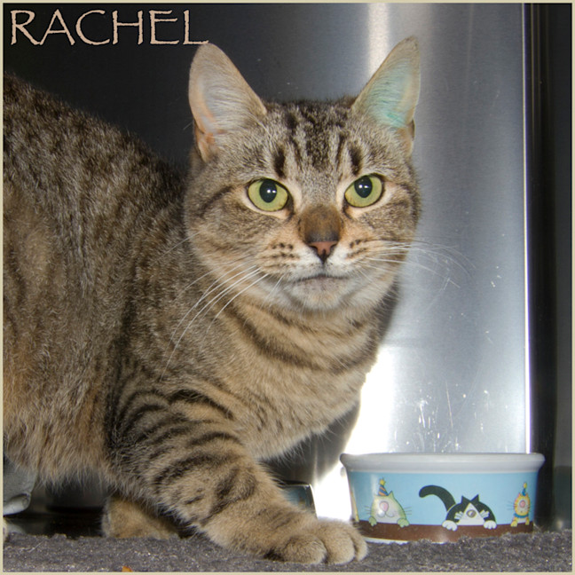 Photo of Rachel