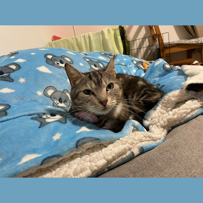 Photo of Pepper