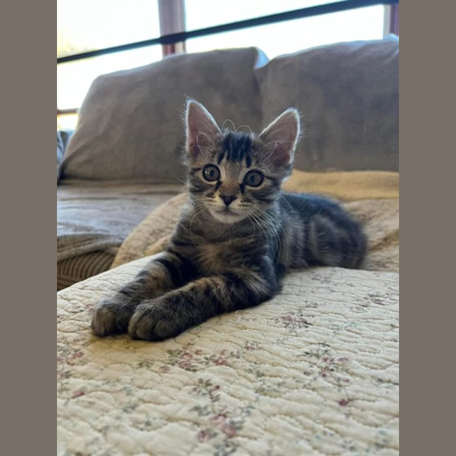 Photo of Taylah