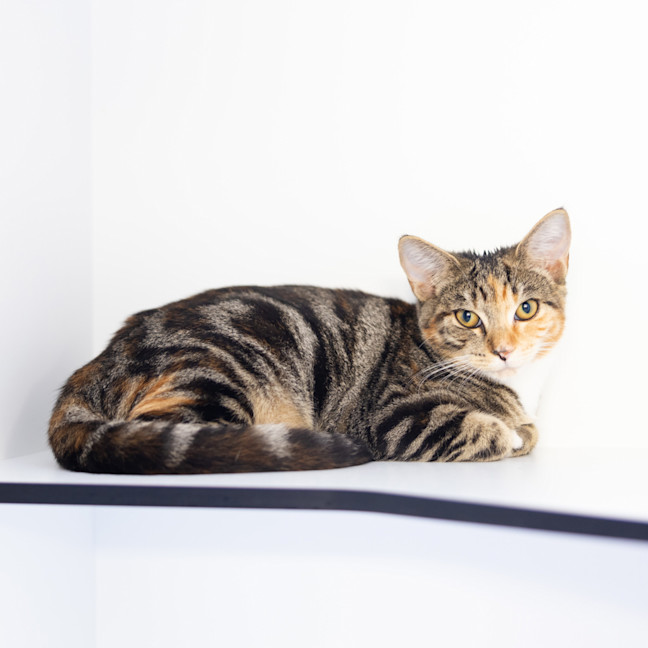 Photo of Sprout