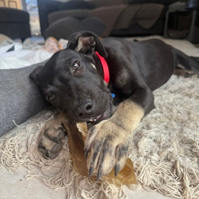 Photo of Zeus