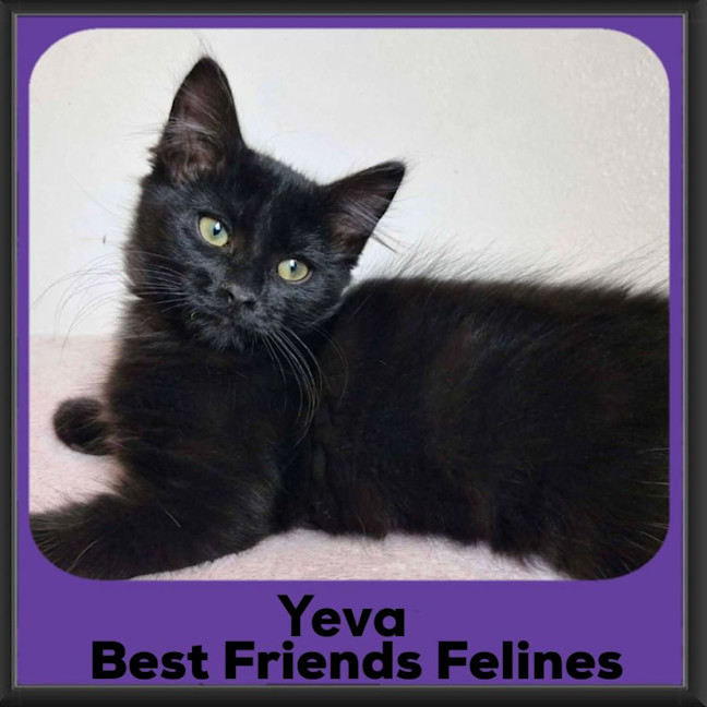 Photo of Yeva 