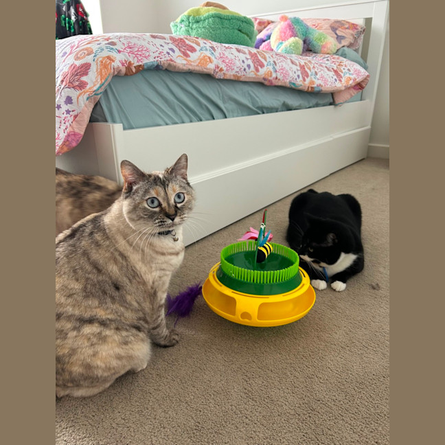 Photo of Matilda ( Tilly ) 