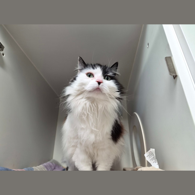 Photo of Sally