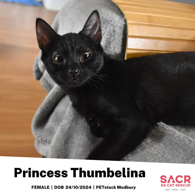 Photo of Princess Thumbelina