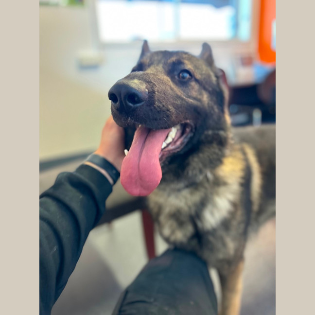 Photo of Duke
