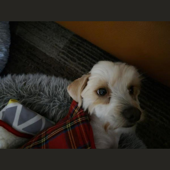 Photo of Penelope