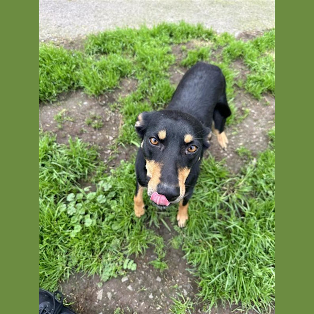 Photo of Tilly