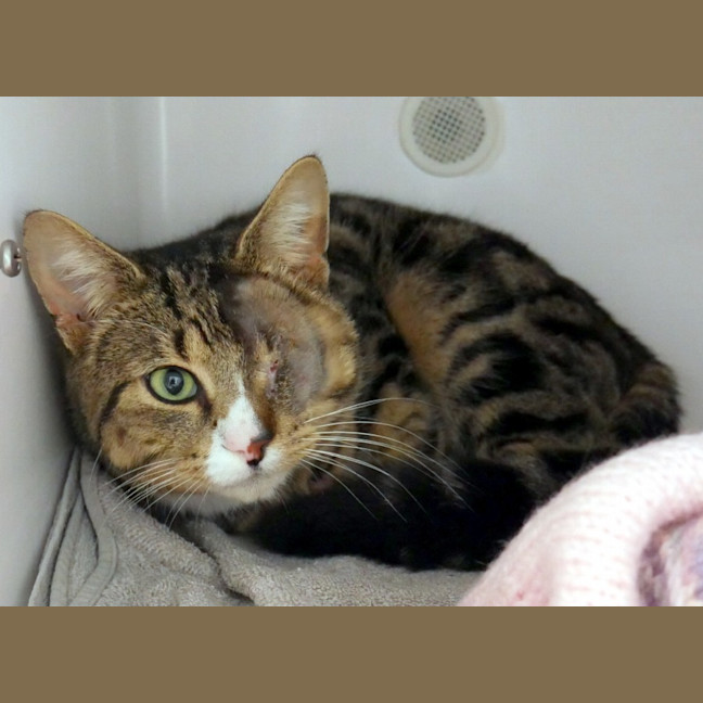 Photo of Odin Sta012883