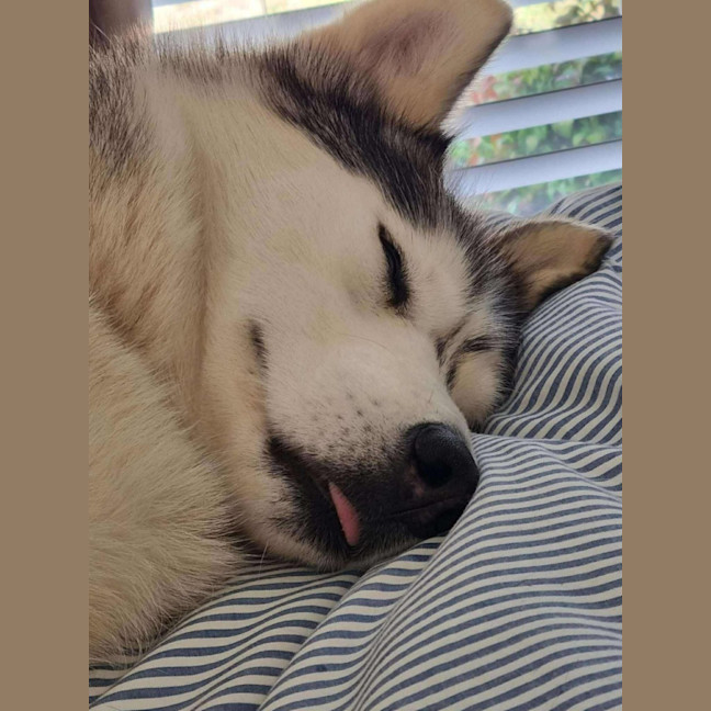 Photo of Ghost & Mirri