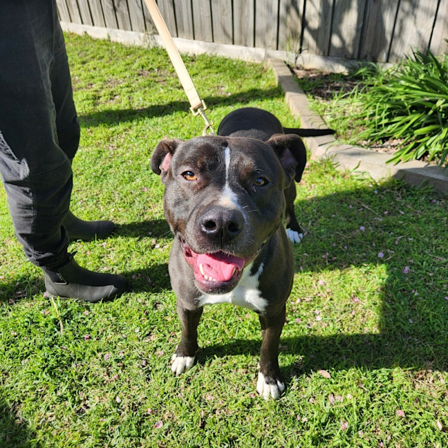 Photo of Billy   64074