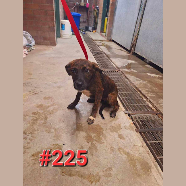 Photo of Georgie Girl