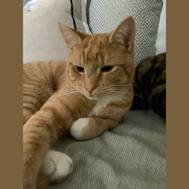 Photo of Sammy