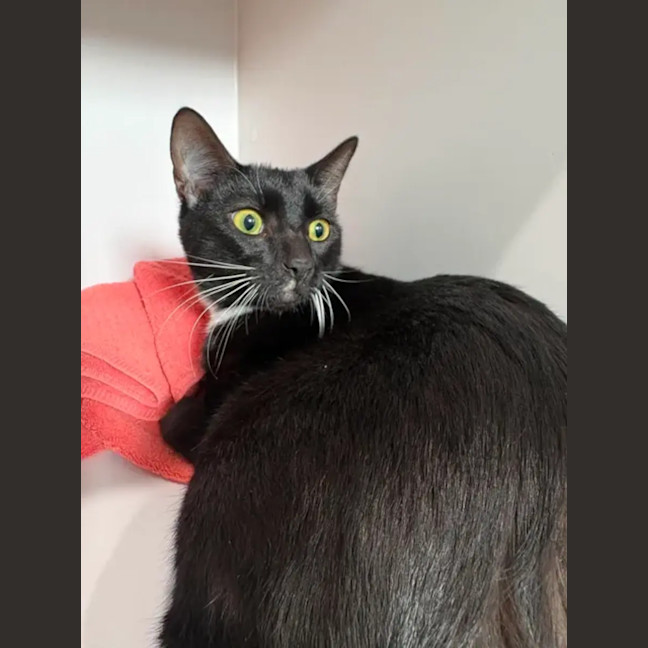 Photo of Bob