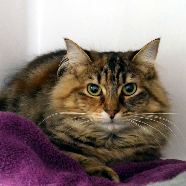 Photo of Aubrie Sta012976