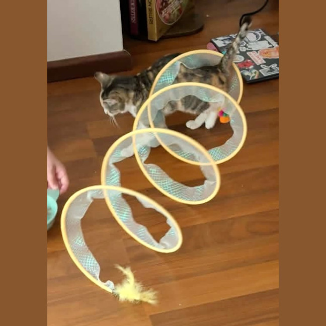 Photo of Peach