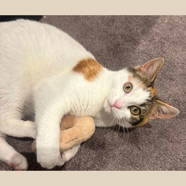 Photo of Dotty