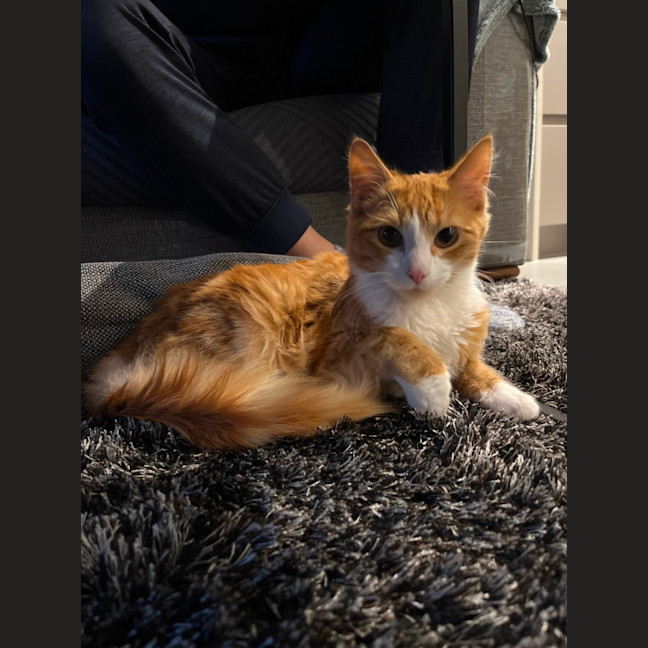 Photo of Timmy