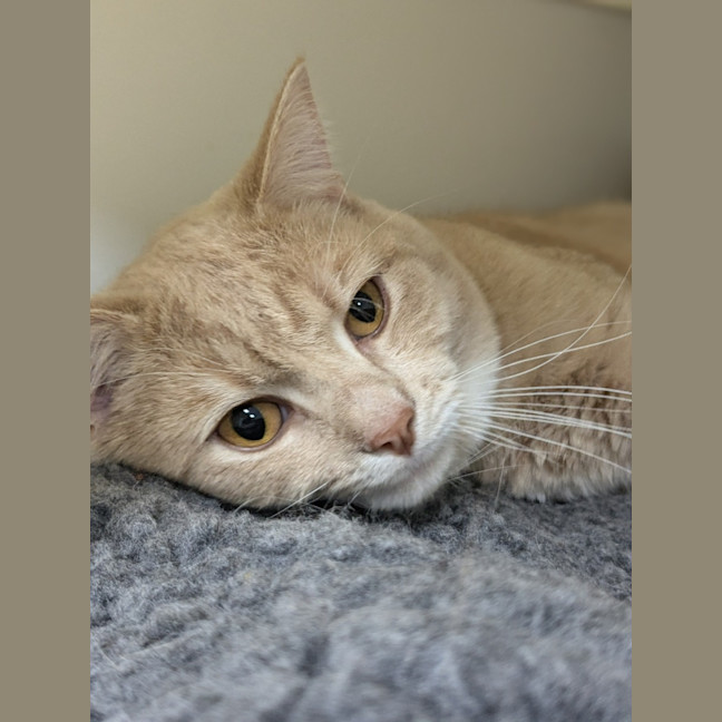 Photo of 🥞 Rupert 5644 🥞