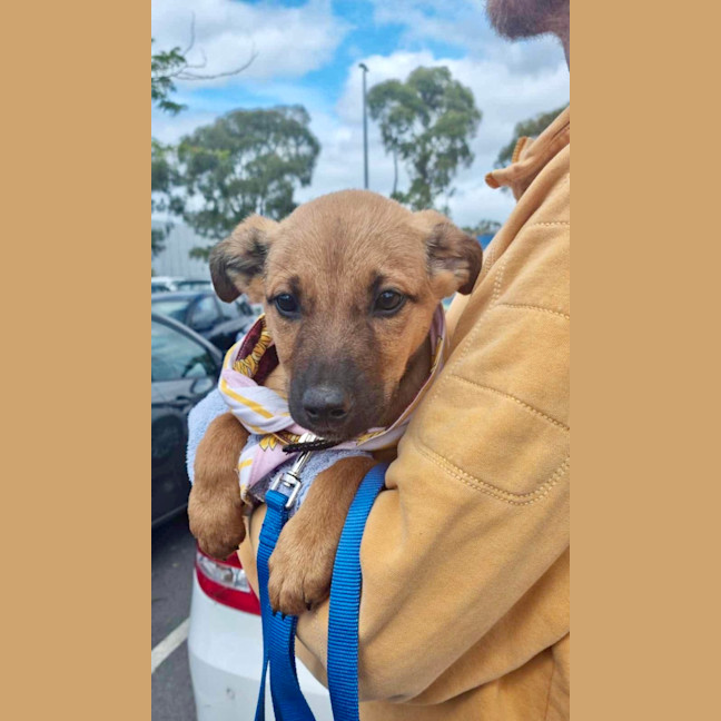 Photo of Zeus