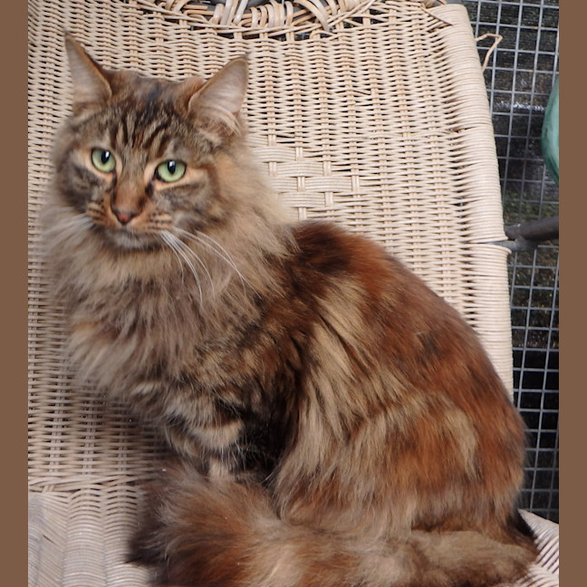 Photo of Fleur And Sky