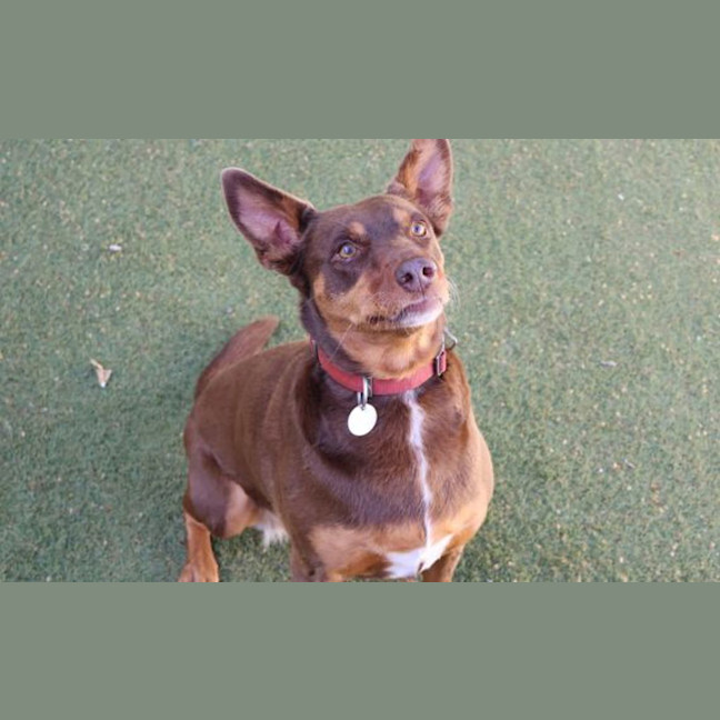 Photo of Milly