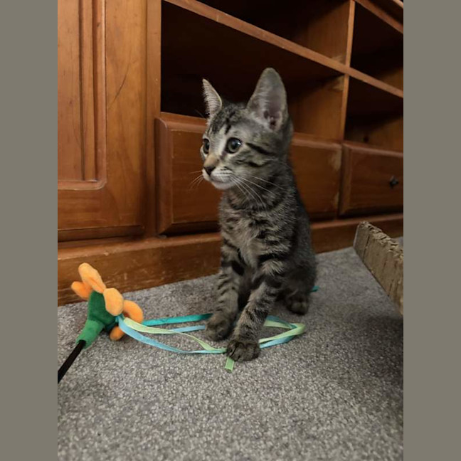 Photo of Cleo