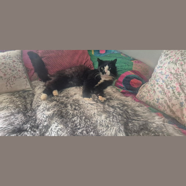 Photo of Cain (0004)