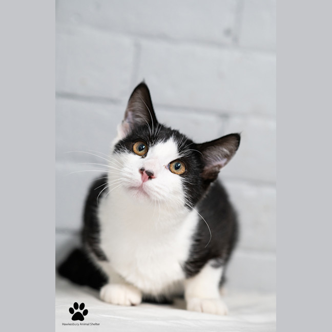 Photo of Max