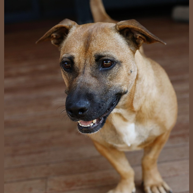 Photo of Winnie