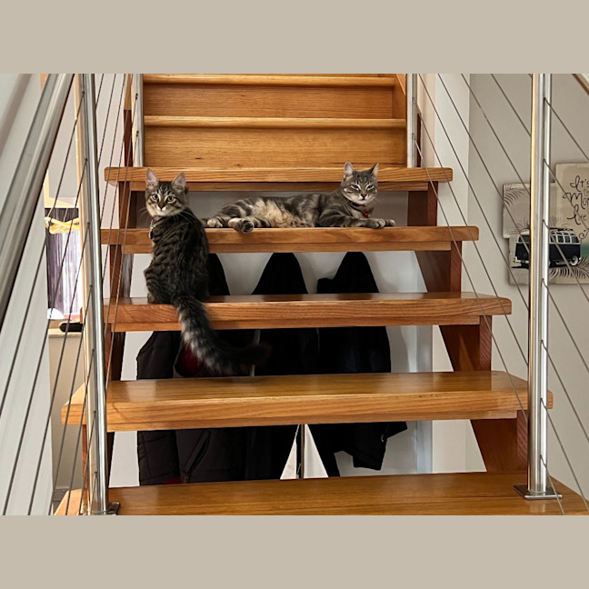 Photo of Lexi & Cara