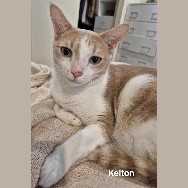 Photo of Kelton