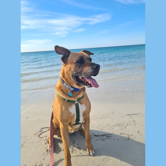 Photo of Lucy