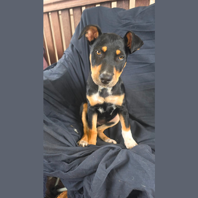 Photo of Jessie