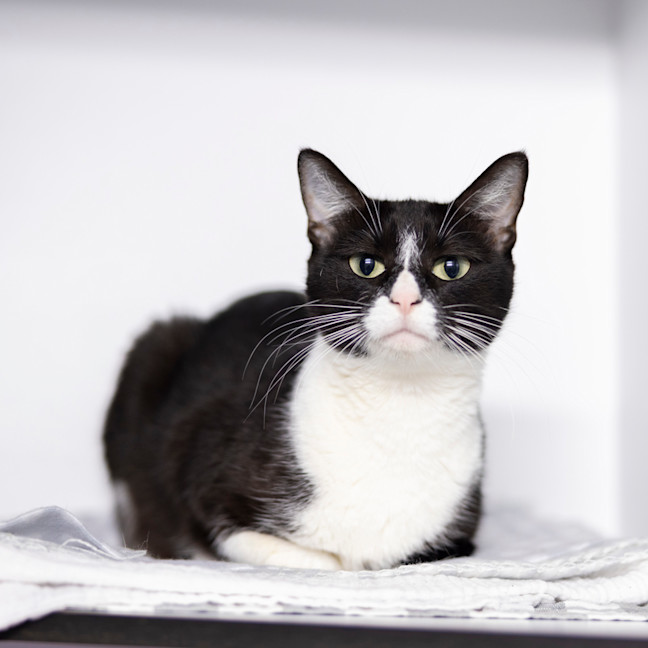 Photo of Lady Macbeth