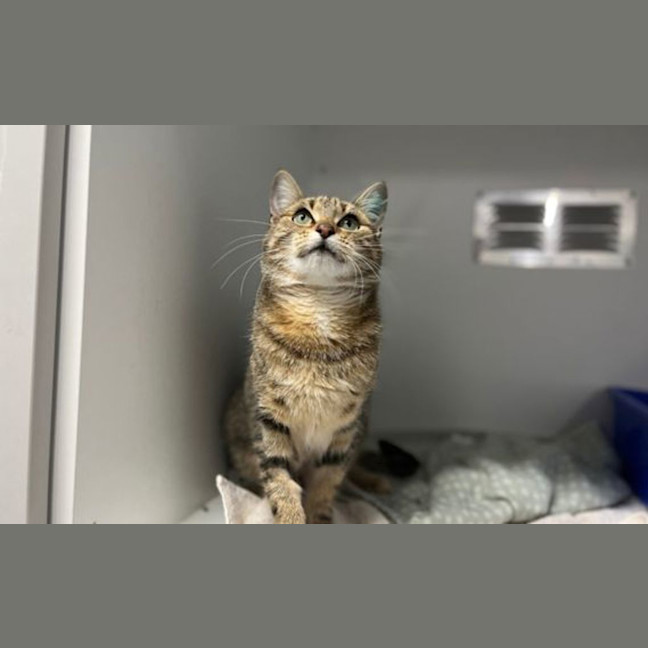 Photo of Cleo