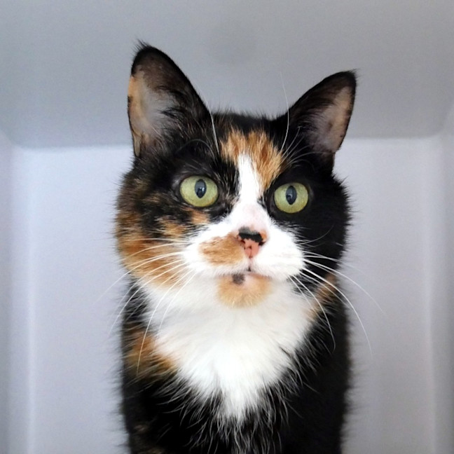 Photo of Victoria Sta013946