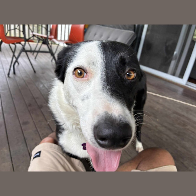 Photo of Lucy 