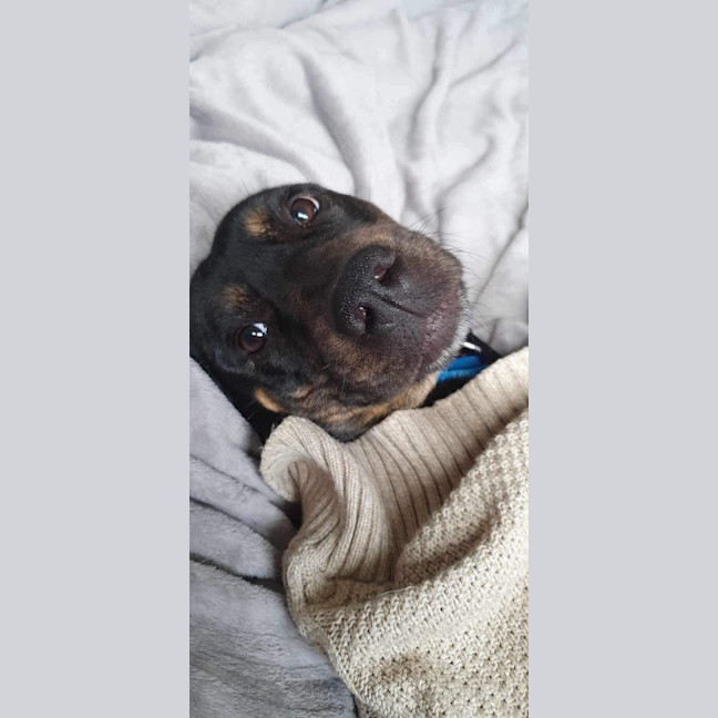 Photo of Nova