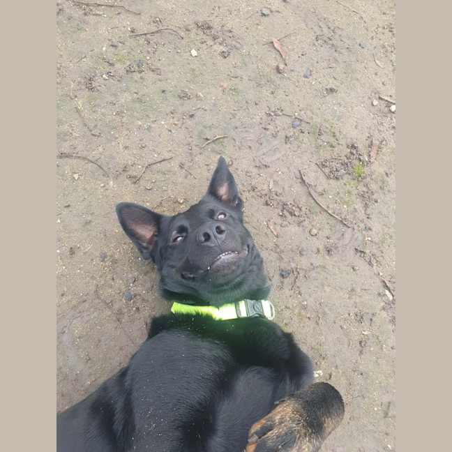 Photo of Jasper
