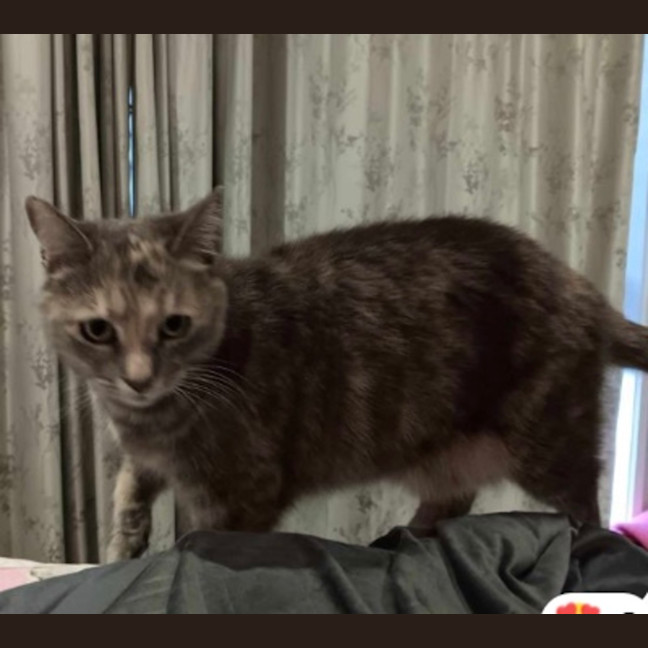 Photo of Molly