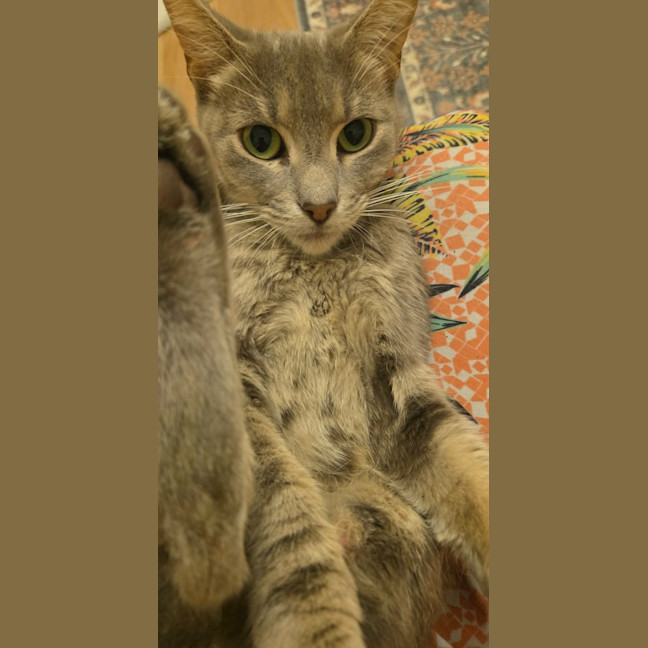 Photo of Blair 