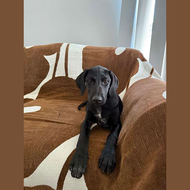 Photo of Lexi